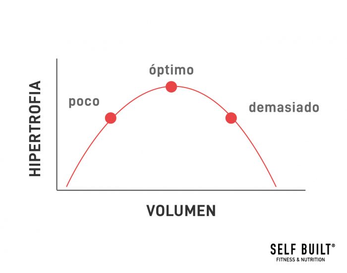 aumento-muscular