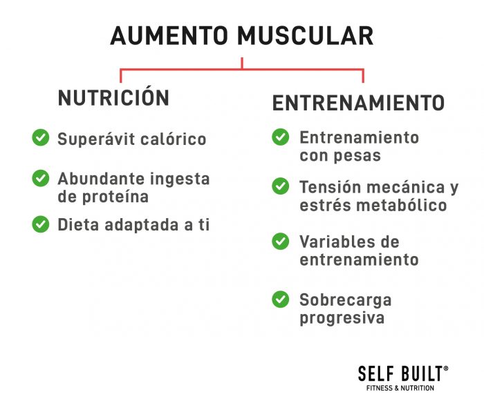 aumento-muscular