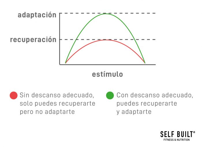 aumento-muscular