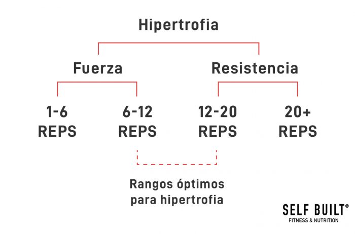 aumentar- masa-muscular