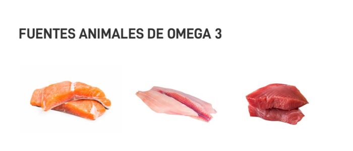 omega-3-alimentos-que-lo-contienen-1